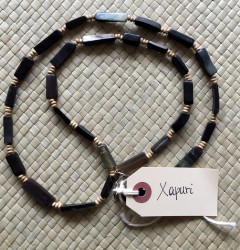 XAPURI